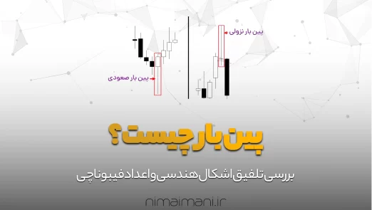 آکادمی نیما ایمانی