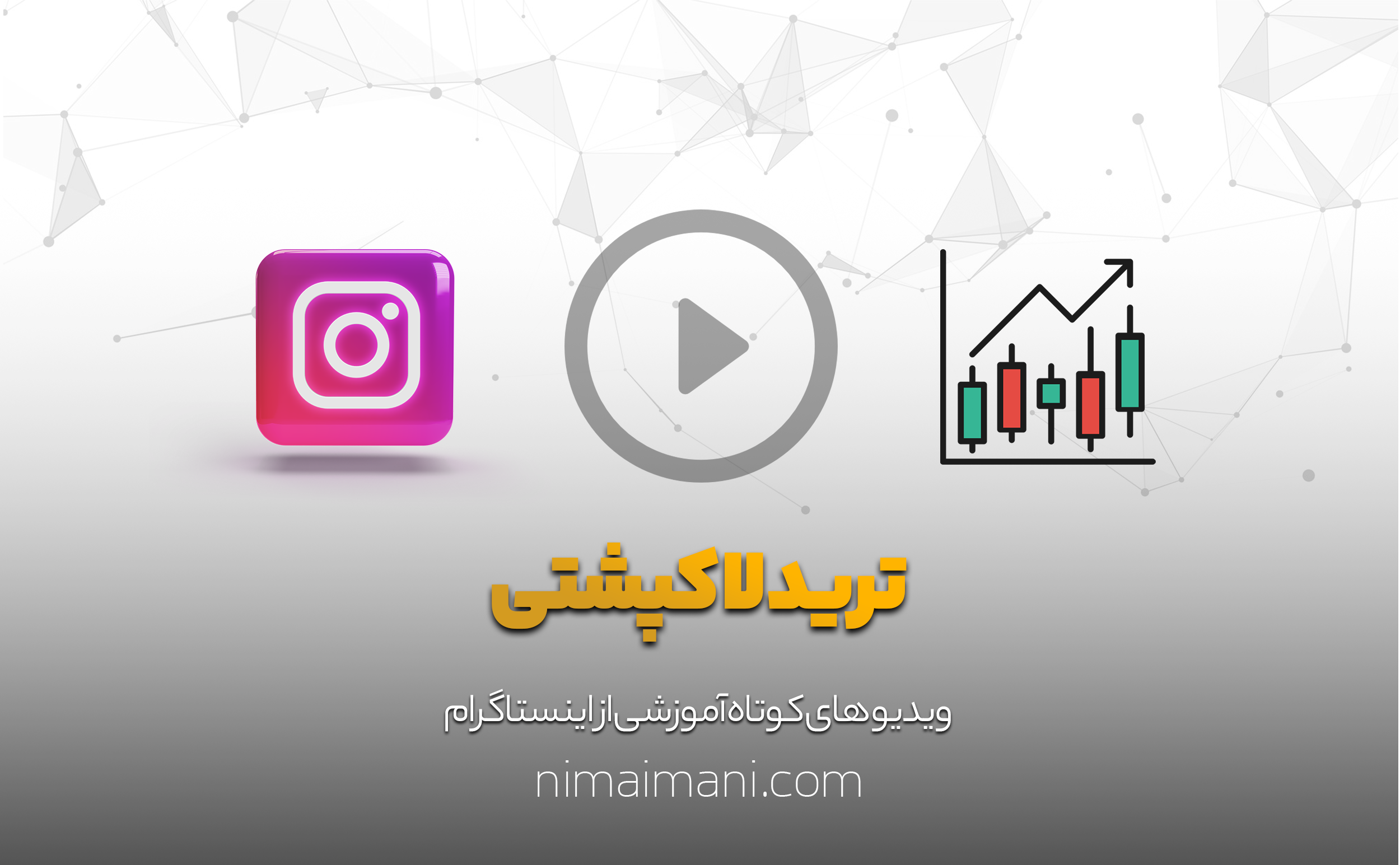 ترید لاکپشتی