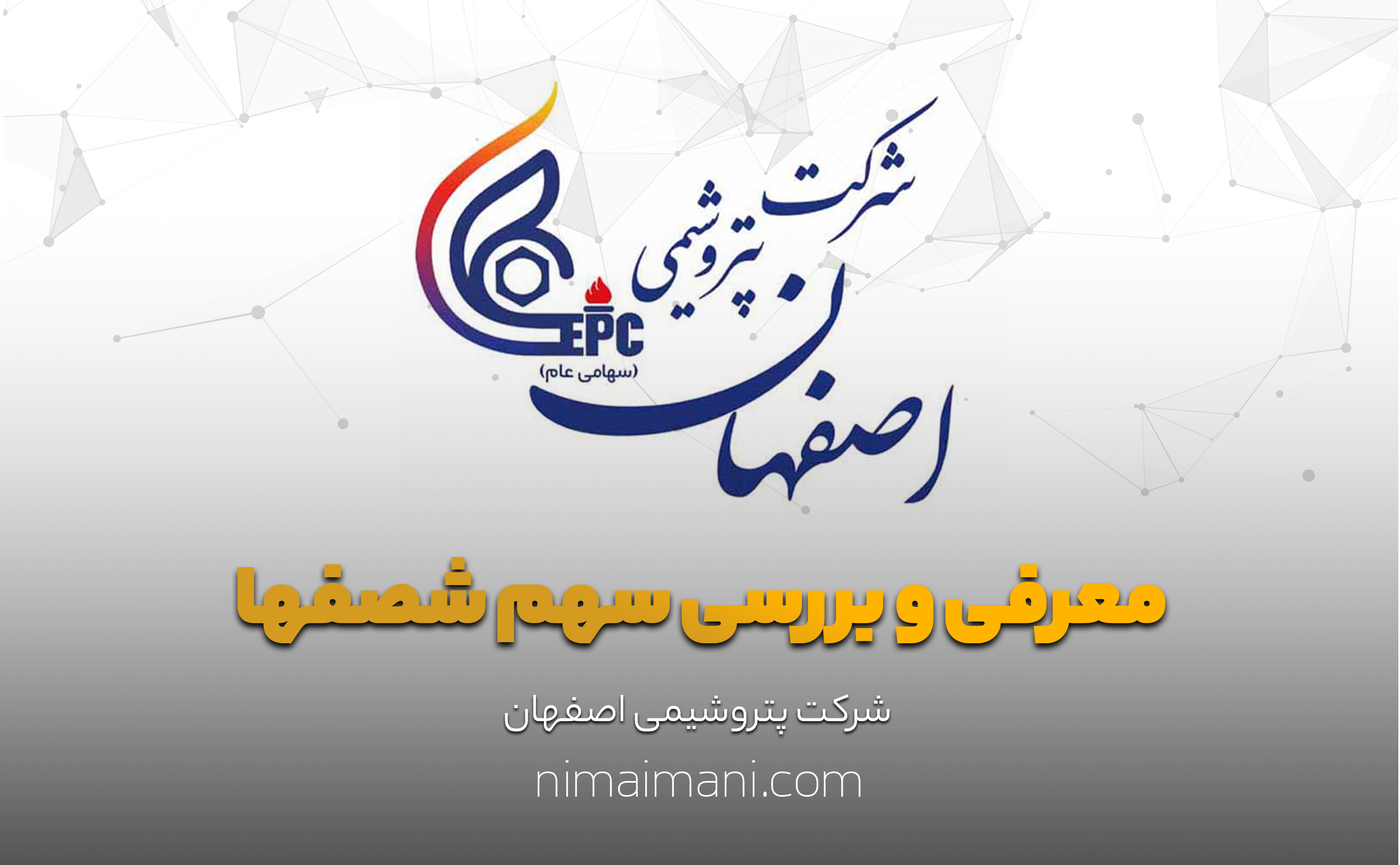 معرفی و بررسی سهم شصفها