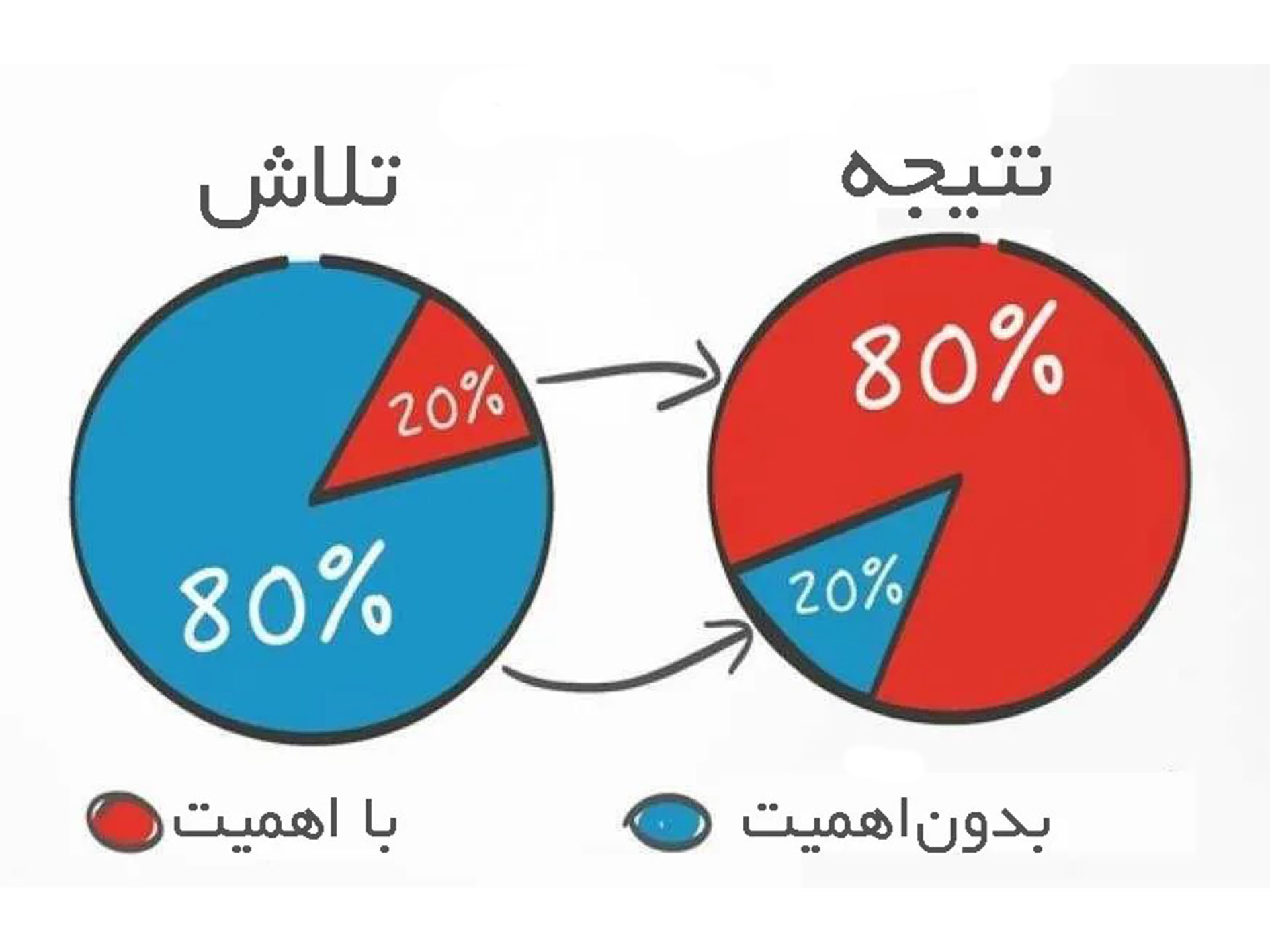 آکادمی نیما ایمانی