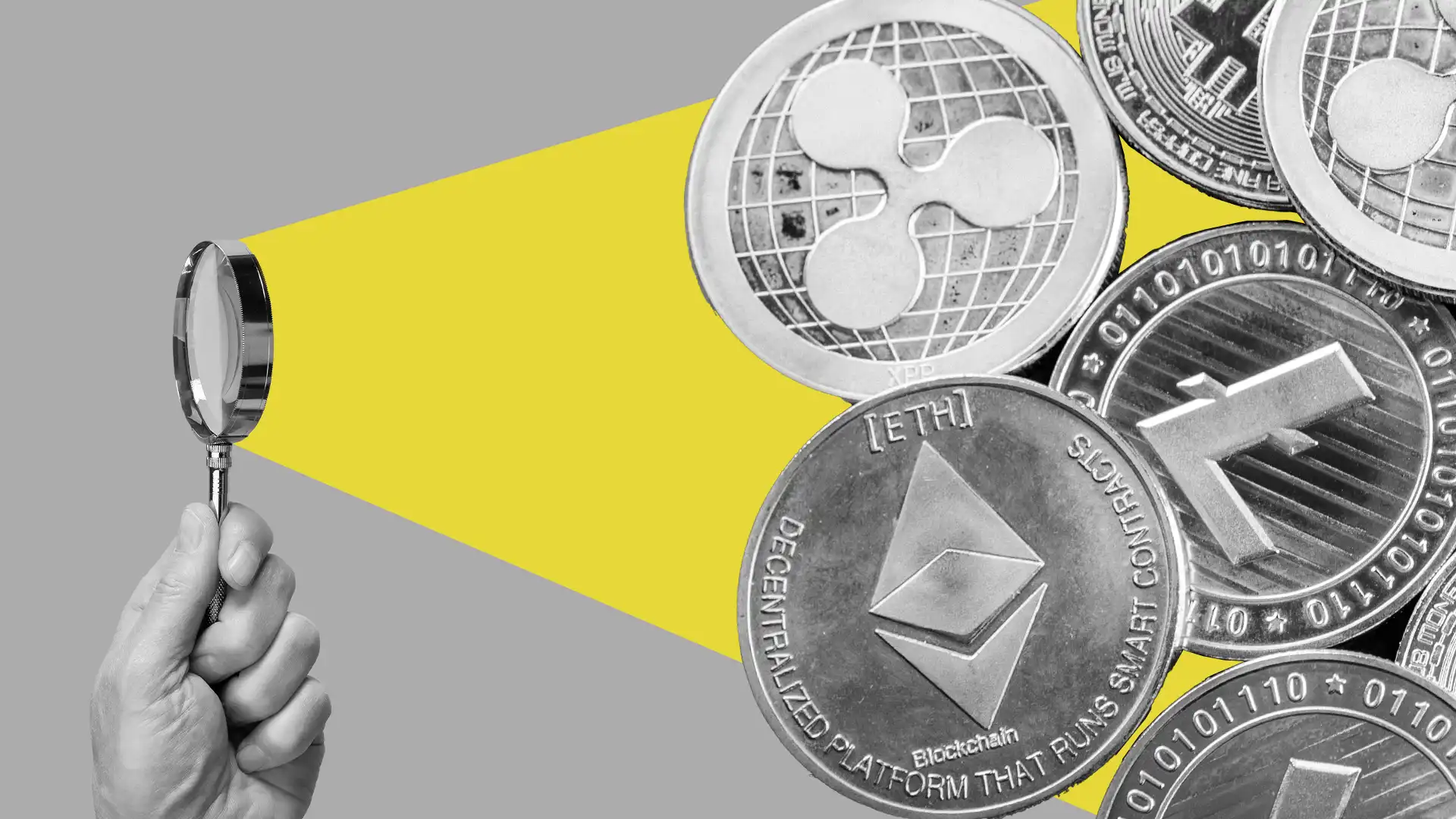 3 ارز پامپی سال 1404