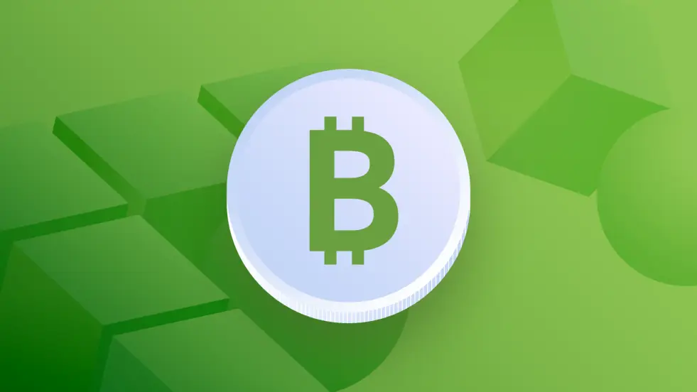 بررسی کامل و جامع رمزارز بیت‌کوین کش (Bitcoin Cash)