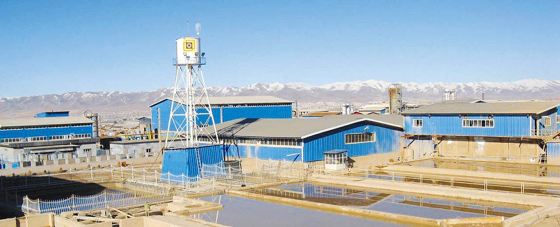 معرفی و بررسی سهم فزرین