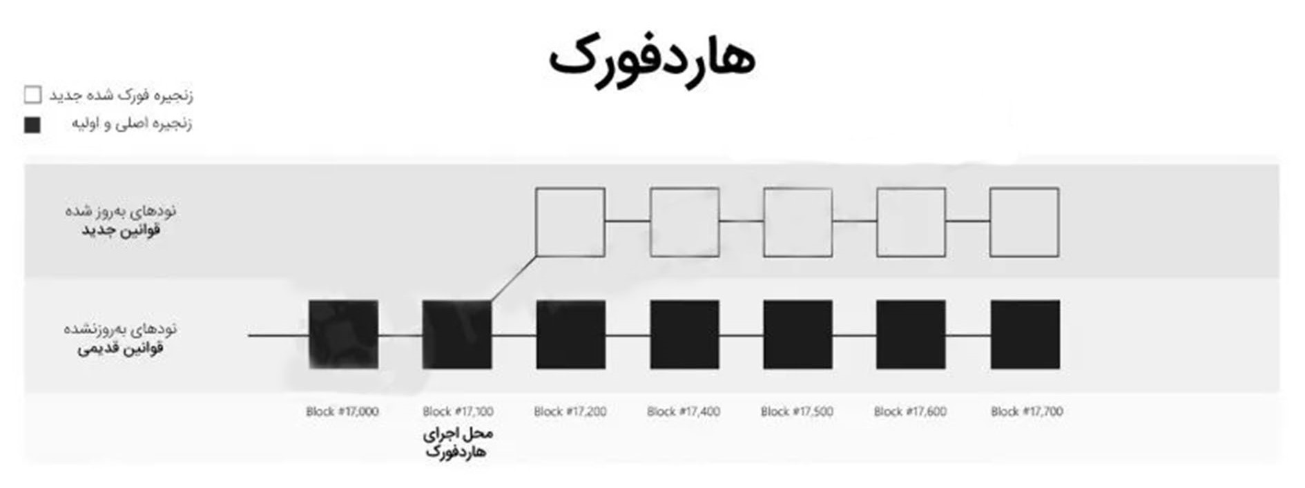 آکادمی نیما ایمانی