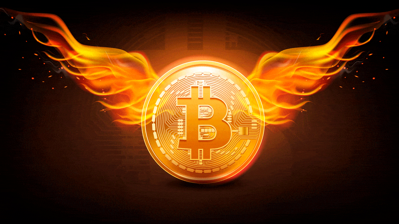 آکادمی نیما ایمانی