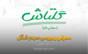 معرفی و بررسی سهم شگل