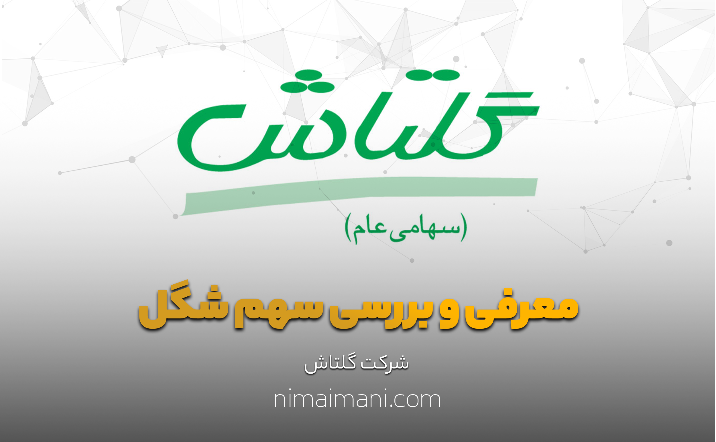 معرفی و بررسی سهم شگل