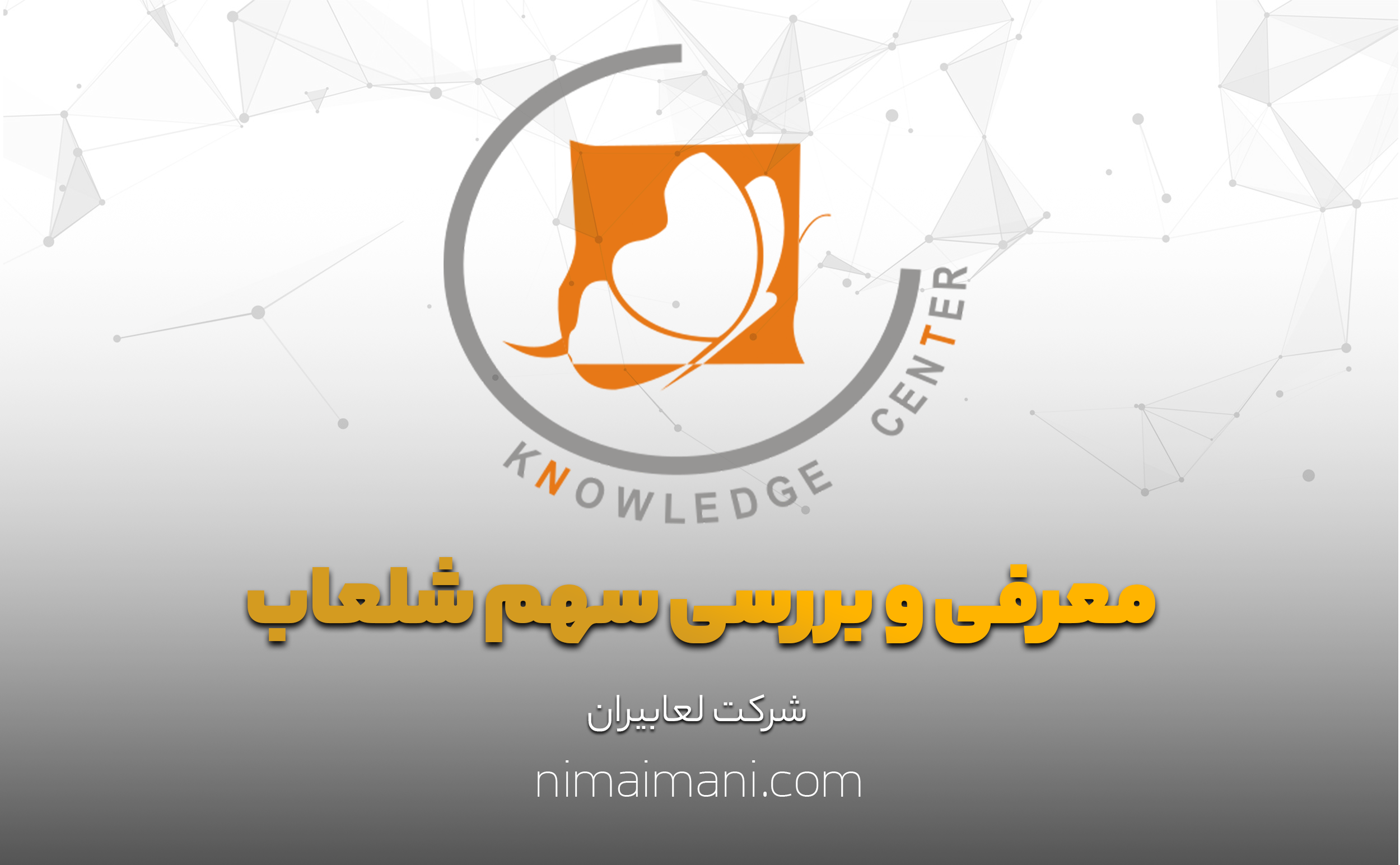 معرفی و بررسی سهم شلعاب