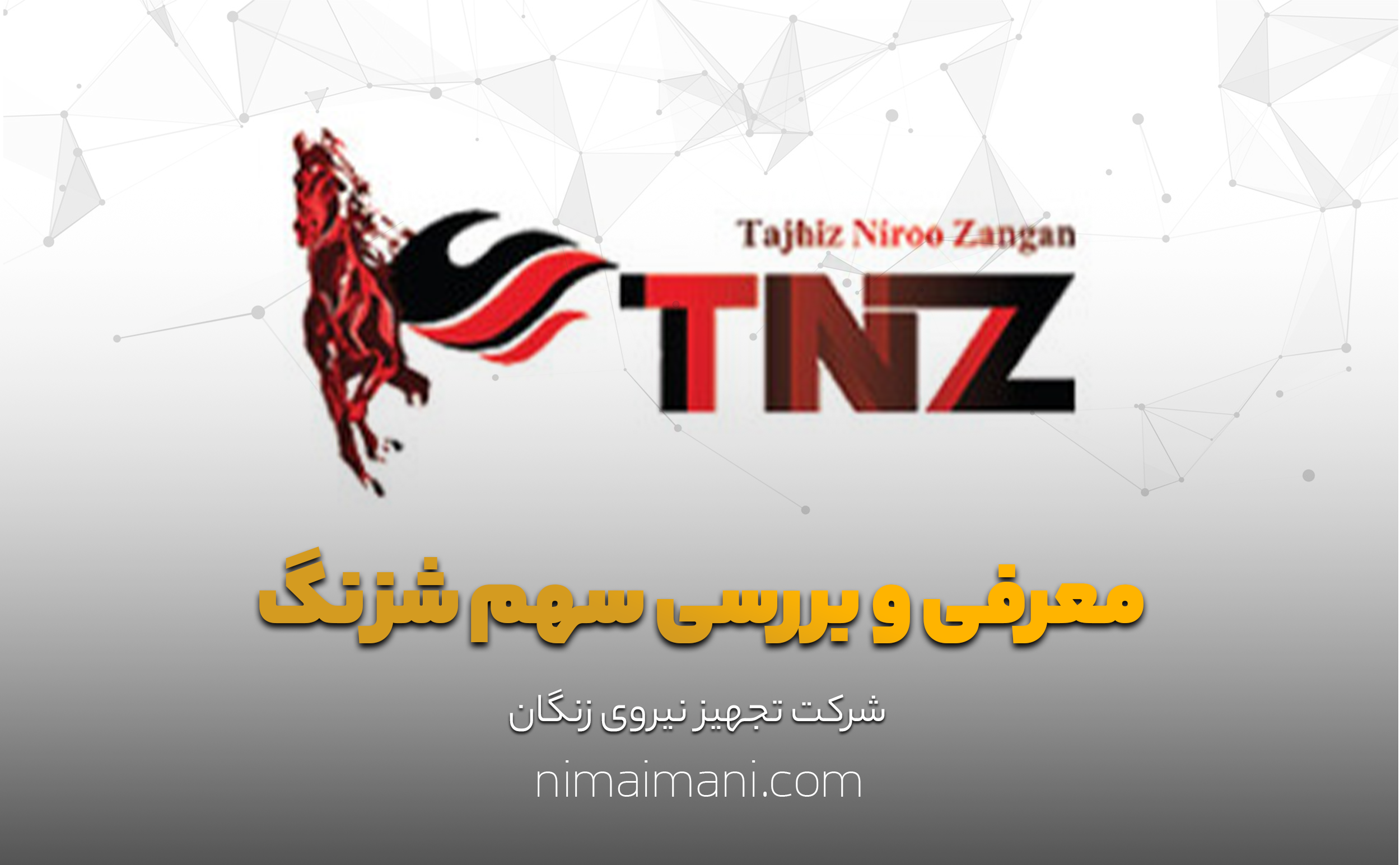 معرفی و بررسی سهم شزنگ