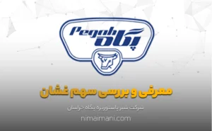 معرفی و بررسی سهم غشان