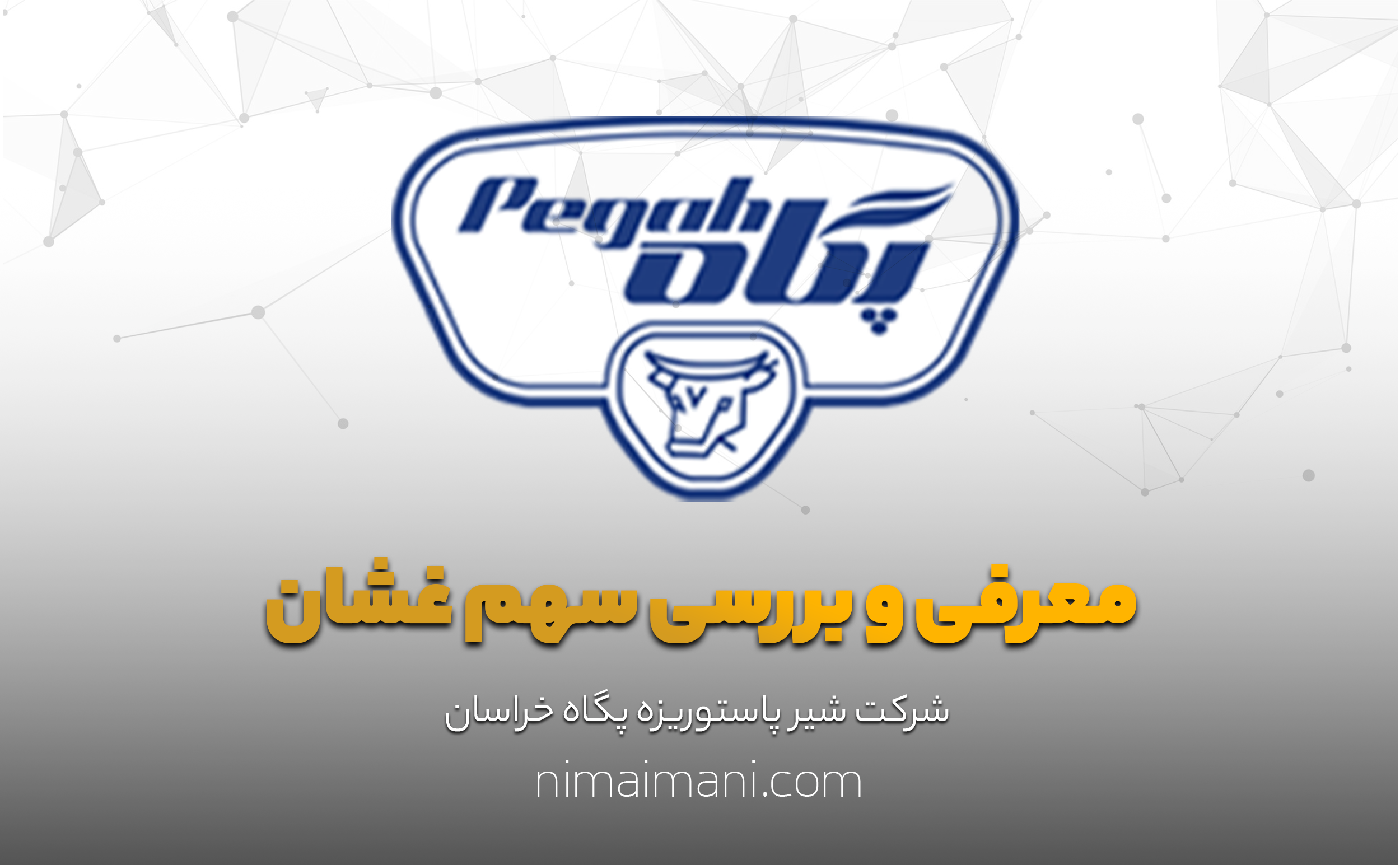 معرفی و بررسی سهم غشان