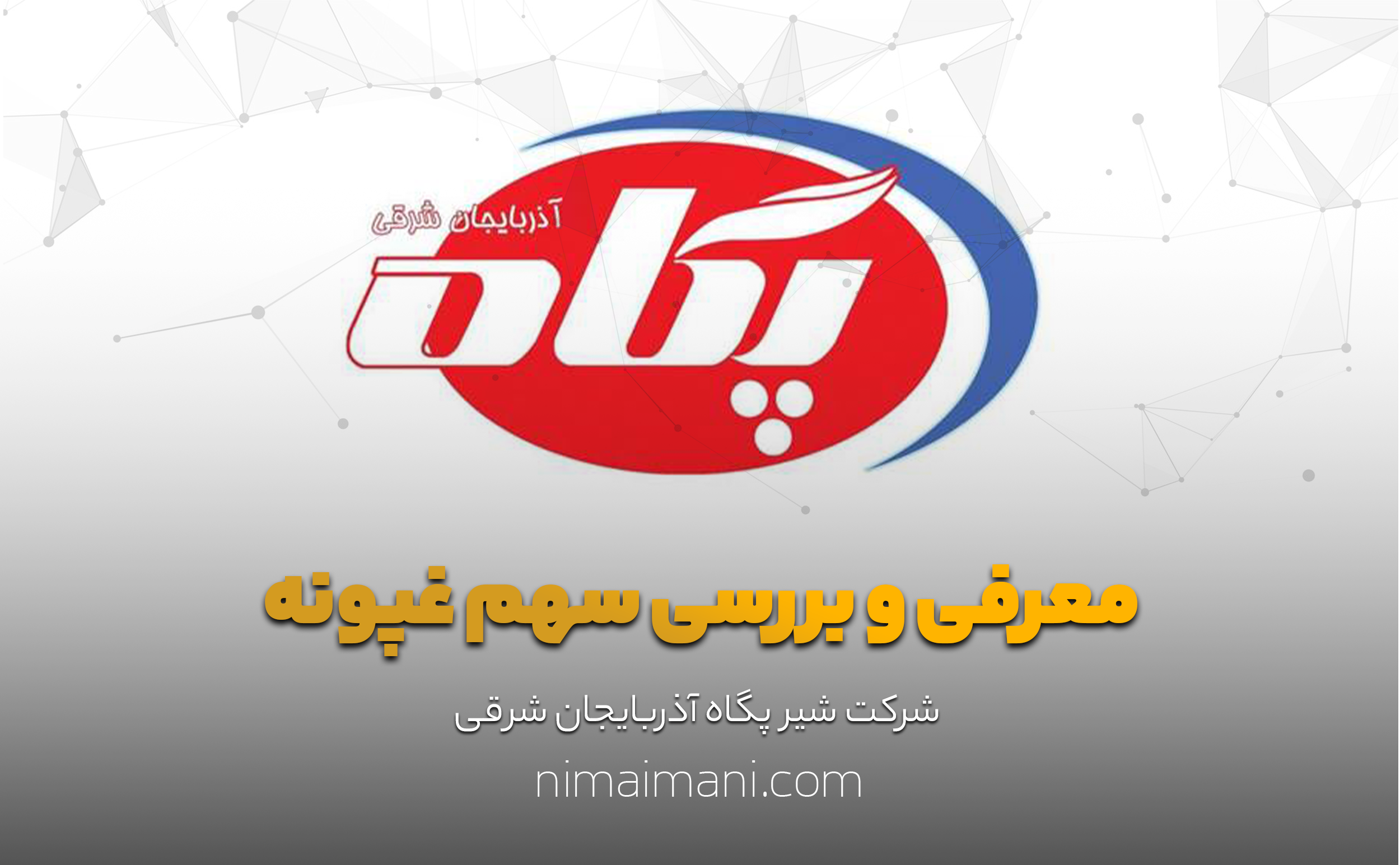 معرفی و بررسی سهم غپآذر
