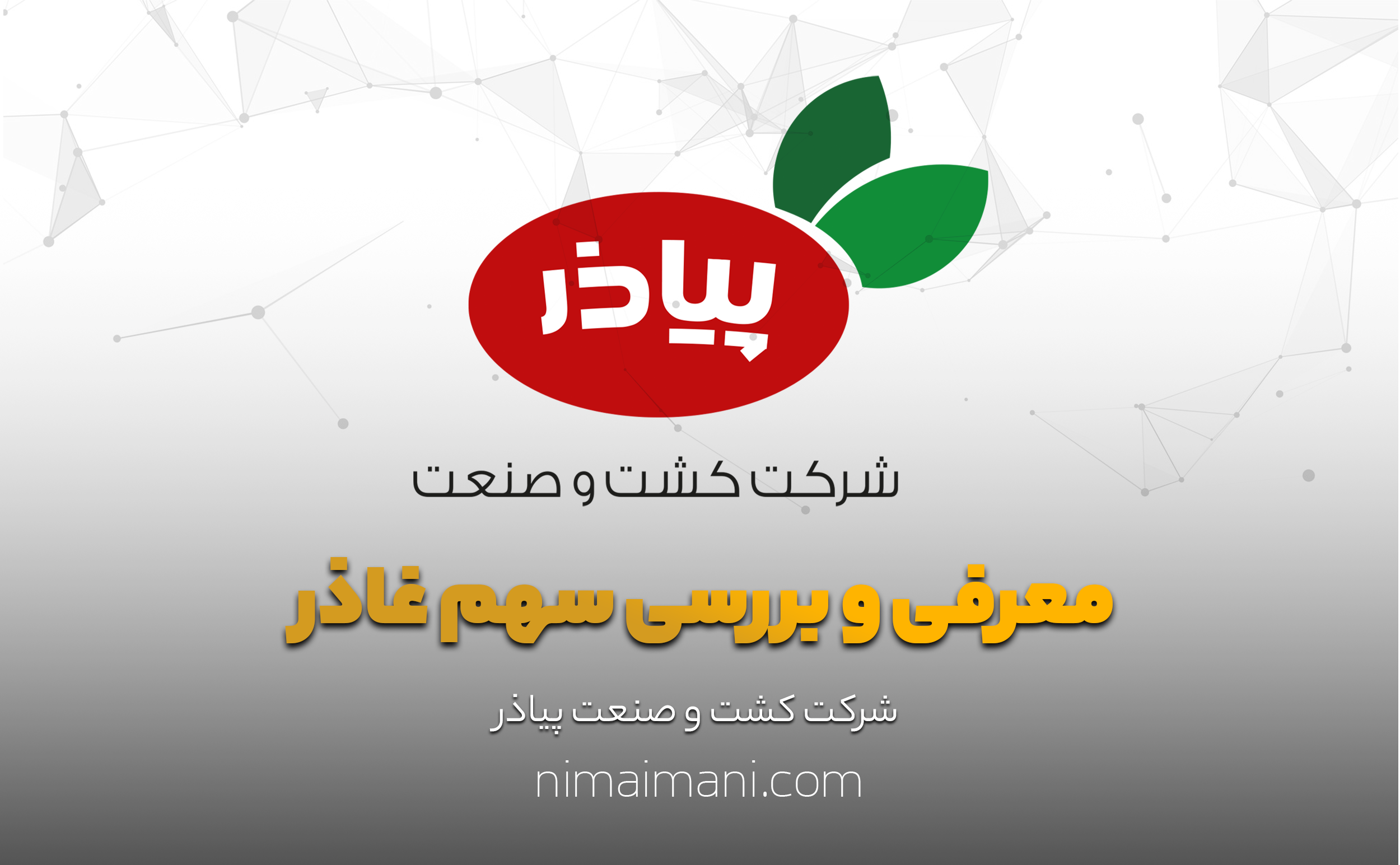معرفی و بررسی سهم غاذر