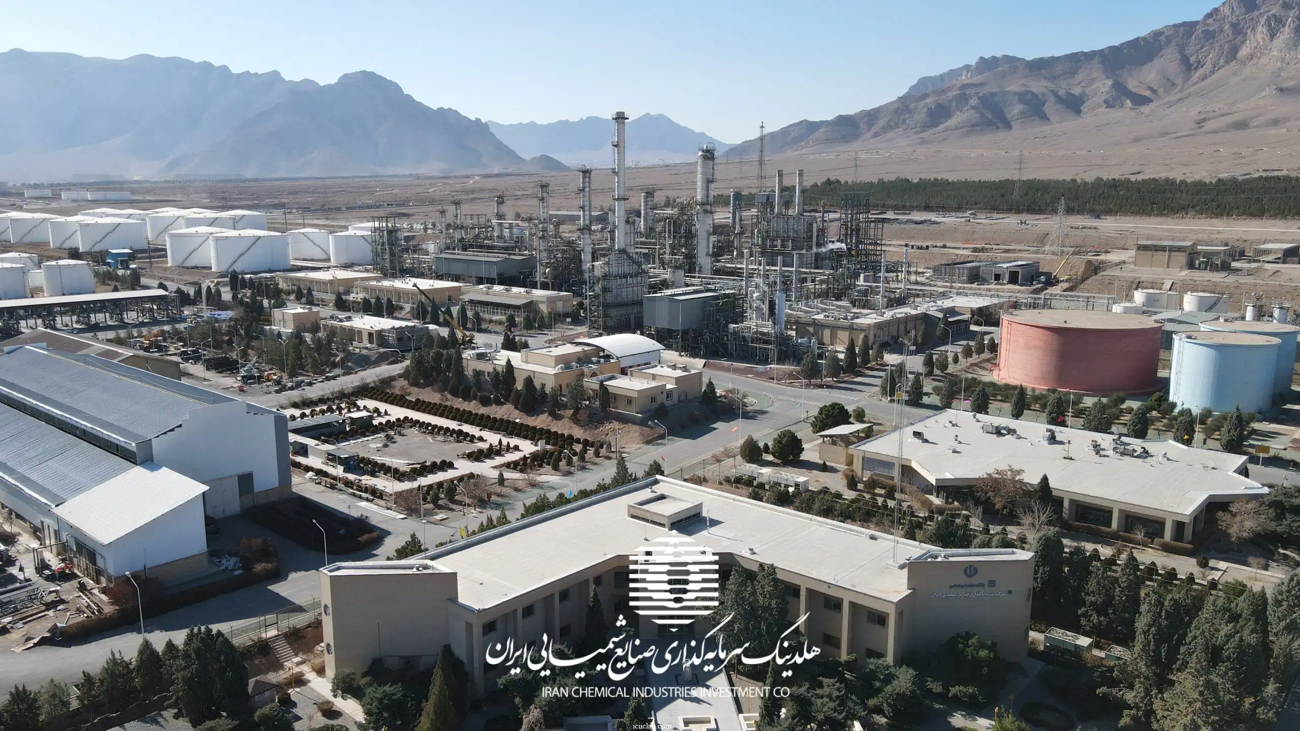 معرفی و بررسی سهم شیران