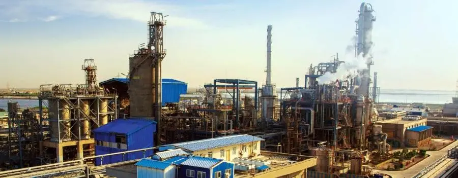 معرفی و بررسی سهم شگویا