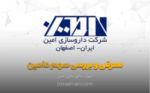 معرفی و بررسی سهم دامین