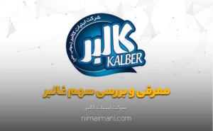 معرفی و بررسی سهم غالبر
