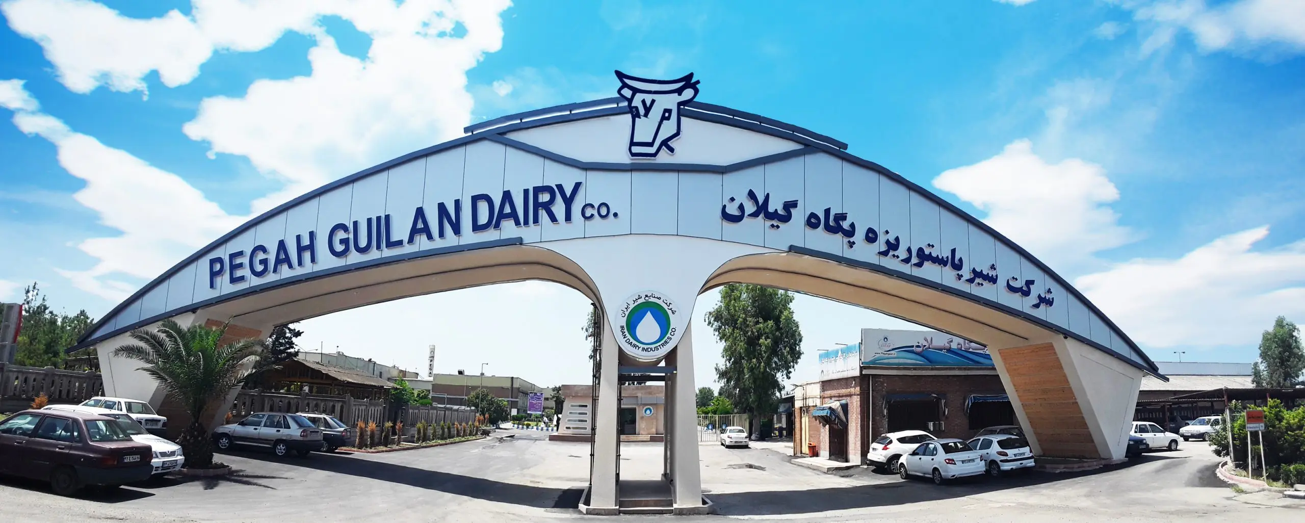 معرفی و بررسی سهم غگیلا