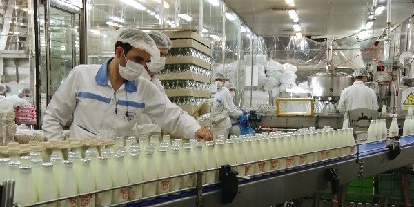 معرفی و بررسی سهم غشصفا