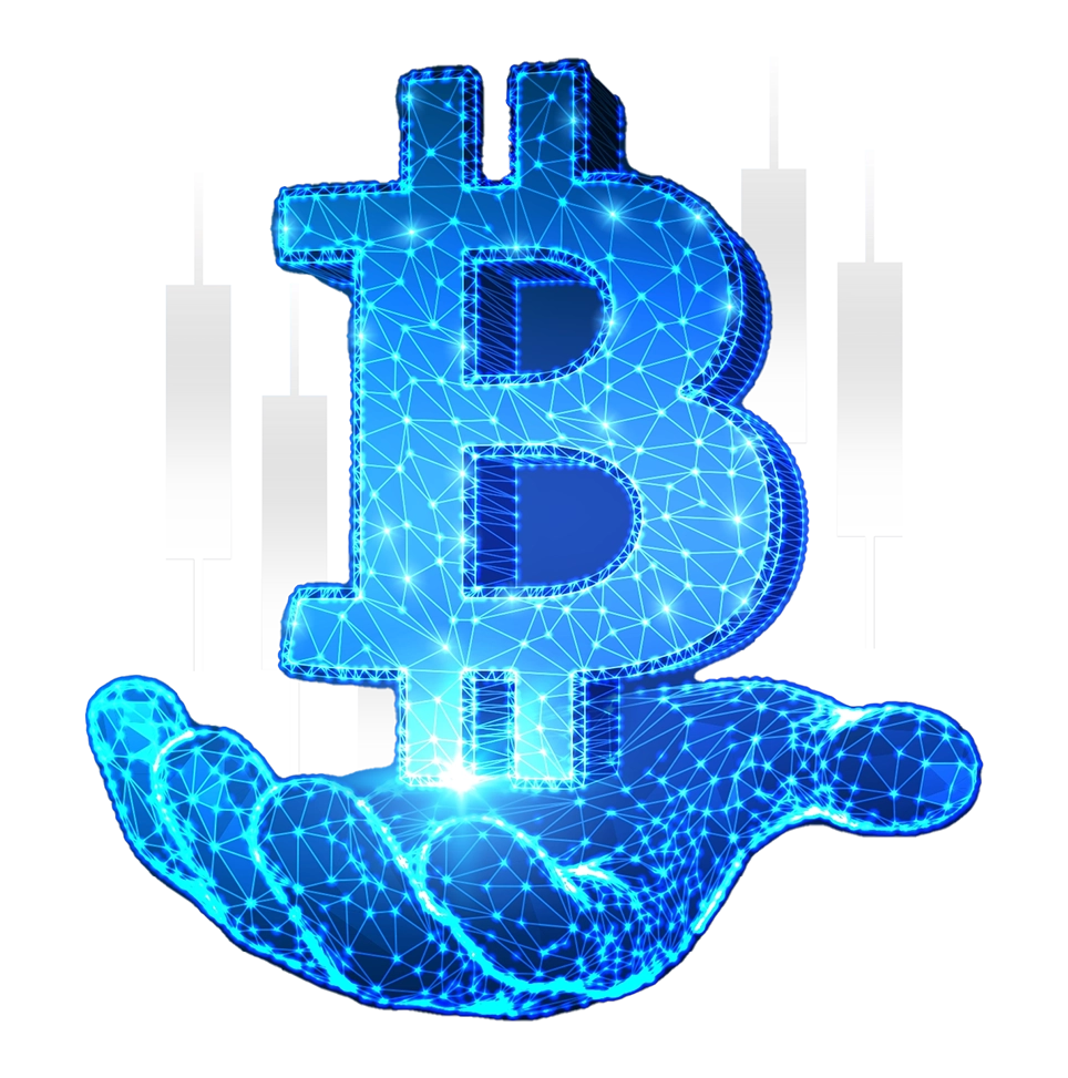 آکادمی نیما ایمانی