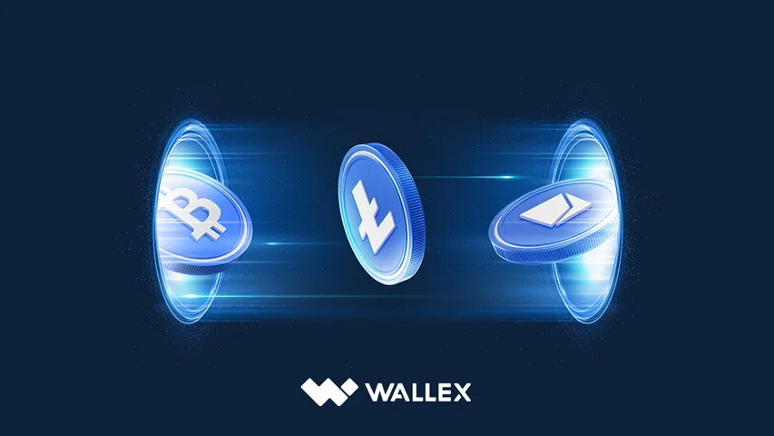 بررسی و تحلیل صرافی والکس | Wallex
