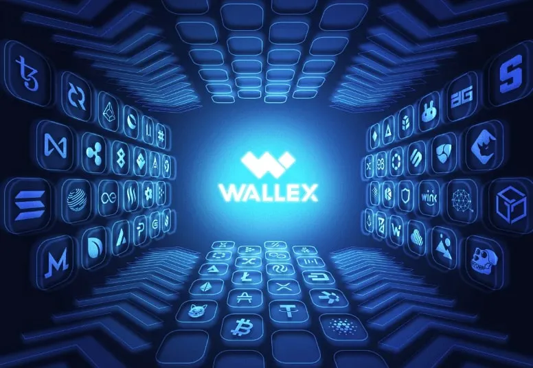 بررسی و تحلیل صرافی والکس | Wallex