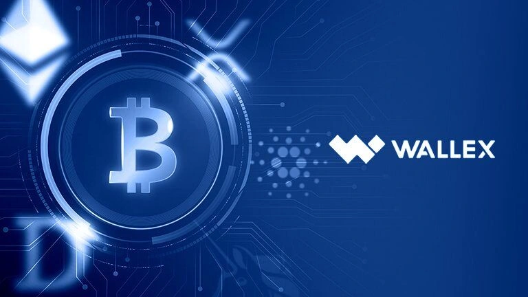بررسی و تحلیل صرافی والکس | Wallex