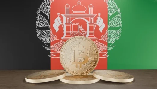 آکادمی نیما ایمانی